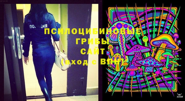 гашик Баксан