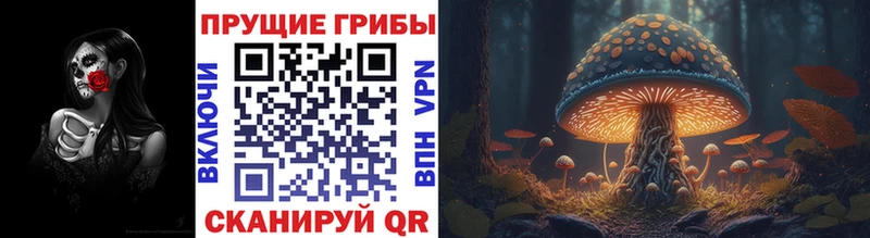 Галлюциногенные грибы Psilocybine cubensis  Пролетарск 